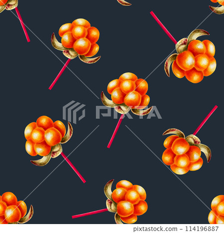 Watercolor seamless pattern with northern forest berry cloudberry illlustrations. Juicy orange berry isolated on background. Clip art for designers, travel business, postcards, scrapbooking, covers, Watercolor seamless pattern with northern forest berry cloudberry illlustrations. Juicy orange berry isolated on background. Clip art for designers, travel business, postcards, scrapbooking, covers, 114196887