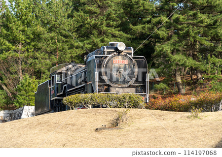 Steam locomotive at Tottori Sand Dunes Children's World Steam locomotive at Tottori Sand Dunes Children's World 114197068