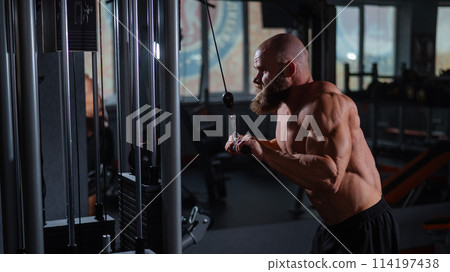 Bald Caucasian Bodybuilder doing heavy triceps exercises with cable. Bald Caucasian Bodybuilder doing heavy triceps exercises with cable. 114197438