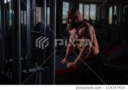 Bald Caucasian Bodybuilder doing heavy triceps exercises with cable.  114197450