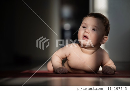 Cute little boy lying on his forearms on the floor. Cute little boy lying on his forearms on the floor. 114197543