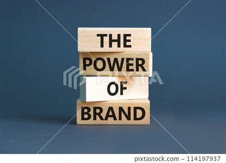 The power of brand symbol. Concept words The power of brand on beautiful wooden block. Beautiful grey table grey background. Business the power of brand concept. Copy space. 114197937
