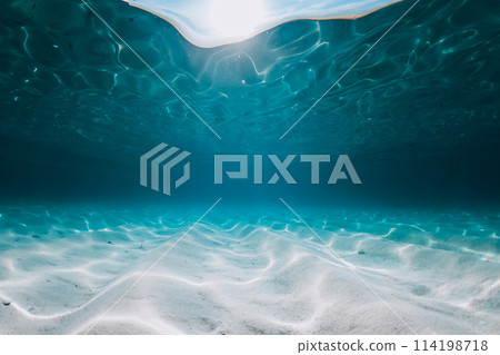 Tropical blue ocean with white sandy sea bottom underwater in Hawaii 114198718
