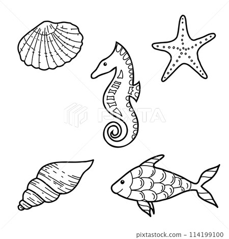 Sea life set. Hand drawn sea shells, star, horse and fish vector illustrations in doodle style. Sketch isolated on white background. Marine underwater design elements. Summer sea clipart. 114199100