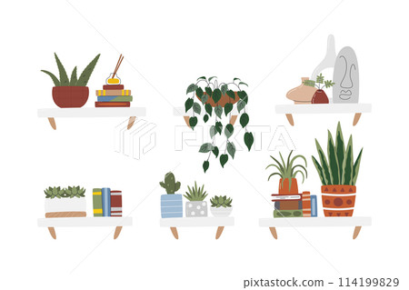 Home decor plants on hanging shelves set isolated 114199829