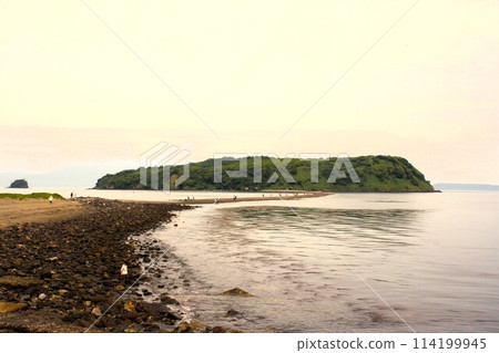 知林島海路 114199945