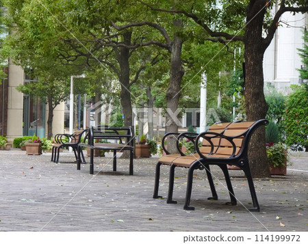 Bench in the town Bench in the town 114199972