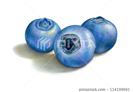 Blueberries on white background 114199981