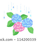 Vector illustration of rain drops and hydrangea 114200339