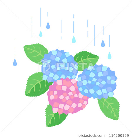 Vector illustration of rain drops and hydrangea 114200339
