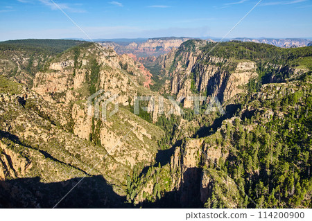 Aerial View of Sedona Canyon with Lush Forest and Red Rock Formations 114200900