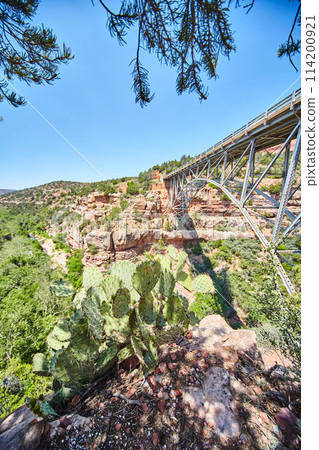 Steel Truss Bridge Over Canyon with Cactus, Arizona Landscape Steel Truss Bridge Over Canyon with Cactus, Arizona Landscape 114200921