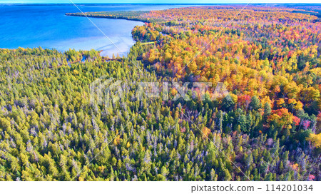 Aerial Autumn Forest and Lake Reflections in Michigan Aerial Autumn Forest and Lake Reflections in Michigan 114201034