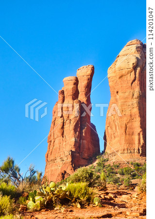 Sedona Red Rock Spires and Desert Flora Against Blue Sky 114201047