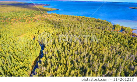 Aerial View of Autumn Forest and Blue Lake at Kitch-iti-kipi, Michigan Aerial View of Autumn Forest and Blue Lake at Kitch-iti-kipi, Michigan 114201237
