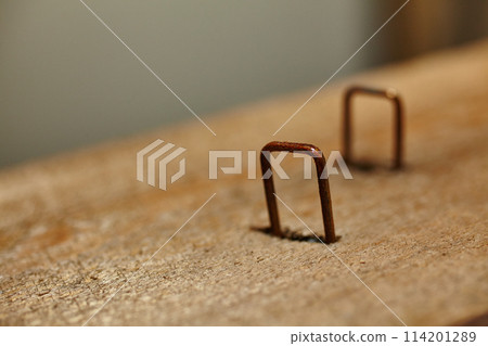 Rusty Staples in Weathered Wood, Symbolizing Decay and Time Passage Close-Up 114201289