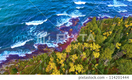 Aerial Top Down View of Autumn Forest and Rugged Lake Superior Shoreline 114201444