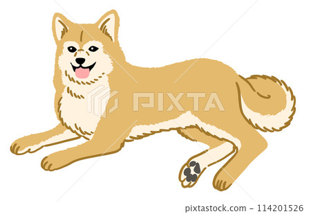 Illustration of Shiba Inu 114201526