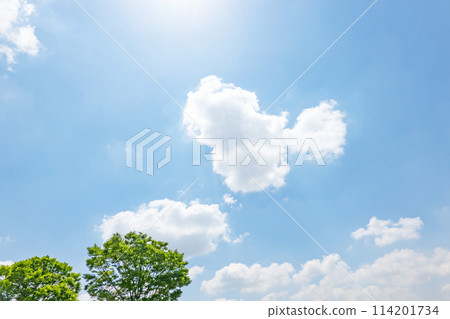 初夏的藍天和小樹林 114201734