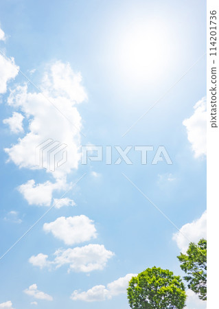 初夏的藍天和小樹林 初夏的藍天和小樹林 114201736