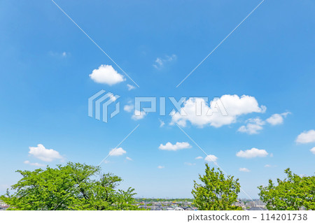 初夏的藍天和小樹林 初夏的藍天和小樹林 114201738