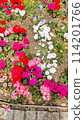 Vivid flower bed 114201766