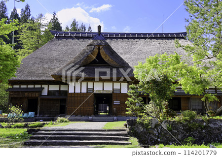 Fresh green and old houses 114201779