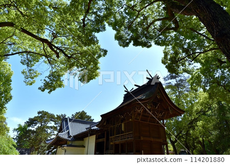 Inano Shrine in Itami City, surrounded by fresh greenery 114201880