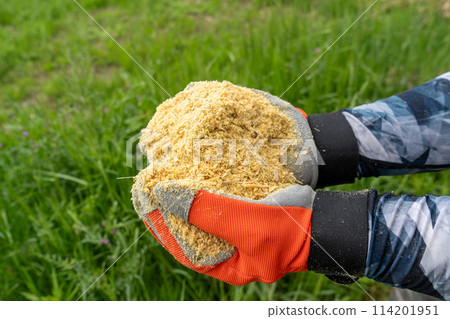 竹片圖片|將竹子粉碎成片|用作土壤改良和肥料 竹片圖片|將竹子粉碎成片|用作土壤改良和肥料 114201951