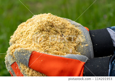 Bamboo chip image | Bamboo is crushed into chips | Used for soil improvement and fertilizer 114201953