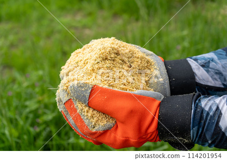 Bamboo chip image | Bamboo is crushed into chips | Used for soil improvement and fertilizer 114201954