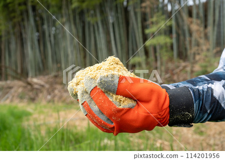 Bamboo chip image | Bamboo is crushed into chips | Used for soil improvement and fertilizer Bamboo chip image | Bamboo is crushed into chips | Used for soil improvement and fertilizer 114201956