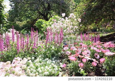 春天的花園 春天的花園 114202210