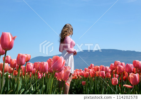 Young woman tourist in pink dress and straw hat standing in blooming tulip field. Spring time 114202578