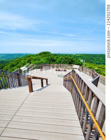 Hachimochi表 Hachimochi表 114202708