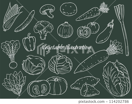 手繪蔬菜線圖集_黑板風格_向量圖 114202786