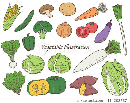 Set of hand-drawn vegetables line drawings_Vector illustration 114202787