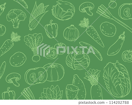 Hand-drawn vegetable background material_vector illustration Hand-drawn vegetable background material_vector illustration 114202788