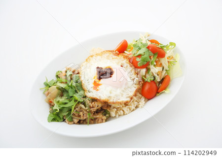 Gapao rice horizontal position Gapao rice horizontal position 114202949