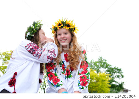 whisper in the ear of a girlfriend gossip two beautiful girls with red hair laugh against the backdrop of a white sky and green trees spend time together joking At a party they flirt with the guys whisper in the ear of a girlfriend gossip two beautiful girls with red hair laugh against the backdrop of a white sky and green trees spend time together joking At a party they flirt with the guys 114203004