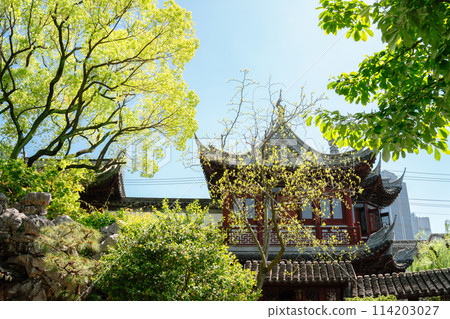 Yuyuan Yu Garden traditional architecture in Shanghai, China 114203027