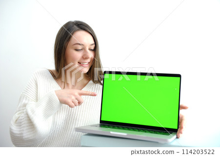 beautiful brunette working with laptop computer smart officer lady in casual wear smile and point her finger on face and use laptop in technology generation 114203522