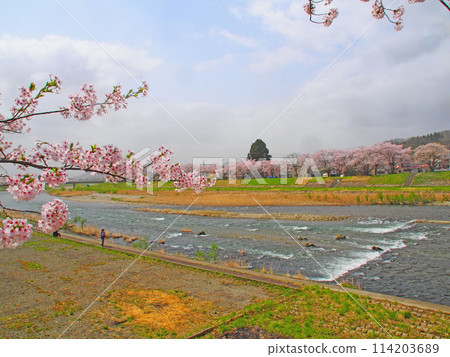 2024 年 4 月 18 日青森郡鶴舞大橋 114203689