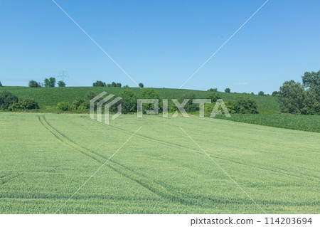 [Poland] A view of green plains and clear blue skies from a train running through the suburbs 114203694