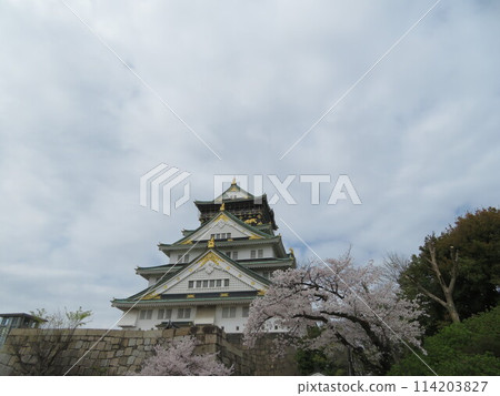 Osaka Castle castle tower 114203827