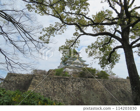 大阪城堡城堡塔 大阪城堡城堡塔 114203830