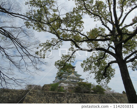 大阪城堡城堡塔 114203831