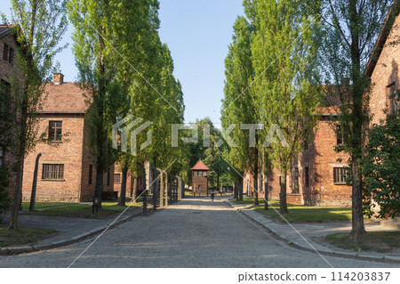 [Poland] A deserted tree-lined street and red brick buildings on an evening in the Auschwitz-Birkenau concentration camp 114203837