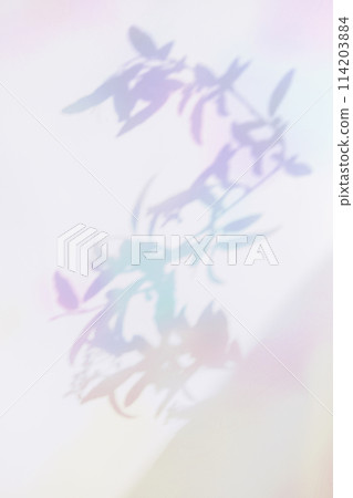 colorful plant shadows 114203884