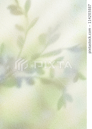 colorful plant shadows 114203887